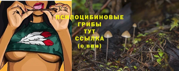 а пвп мука Кукмор