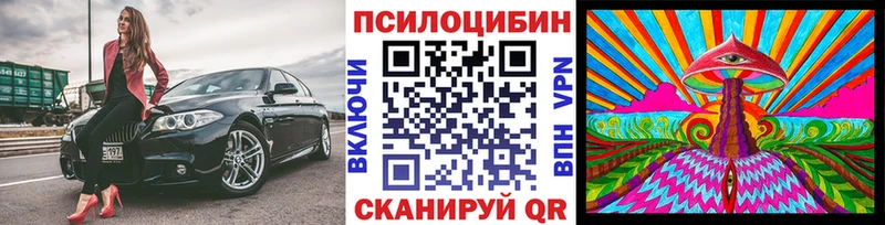 Купить  Новоульяновск  Псилоцибиновые грибы MAGIC MUSHROOMS 